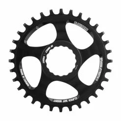 Blackspire, Snaggletooth, Raceface Cinch Boost 32 Zahn